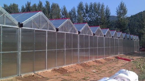 栾城县建造温室大棚费用解析——以宏宇轻钢温室为例