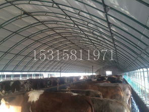 现代温室大棚 农业发展的多面手