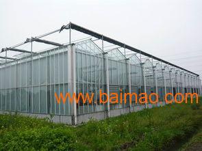 温室建造全解析 类型、特点与厂家选择指南