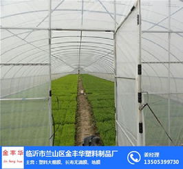 绿色温室，匠心同行——探访兰山区金丰华塑料制品厂的温室事业